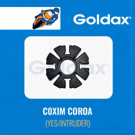 COXIM COROA YES/INTRUDER GOLDAX